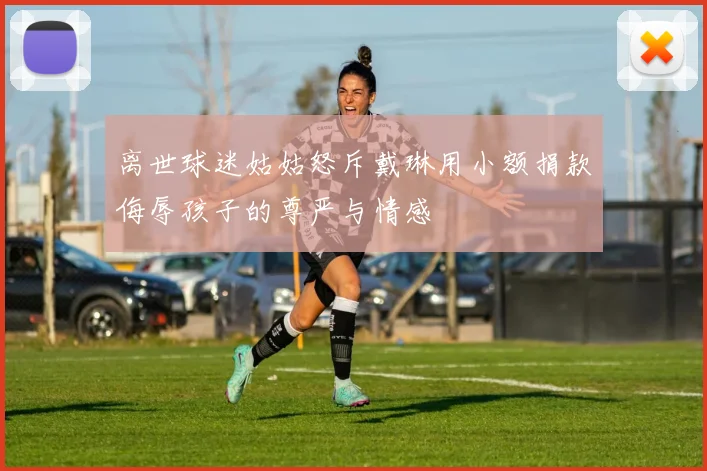 离世球迷姑姑怒斥戴琳用小额捐款侮辱孩子的尊严与情感