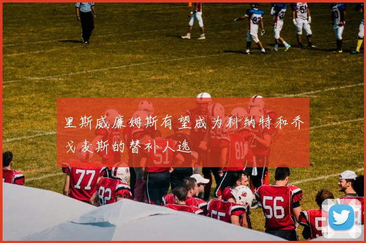 里斯威廉姆斯有望成为科纳特和乔戈麦斯的替补人选